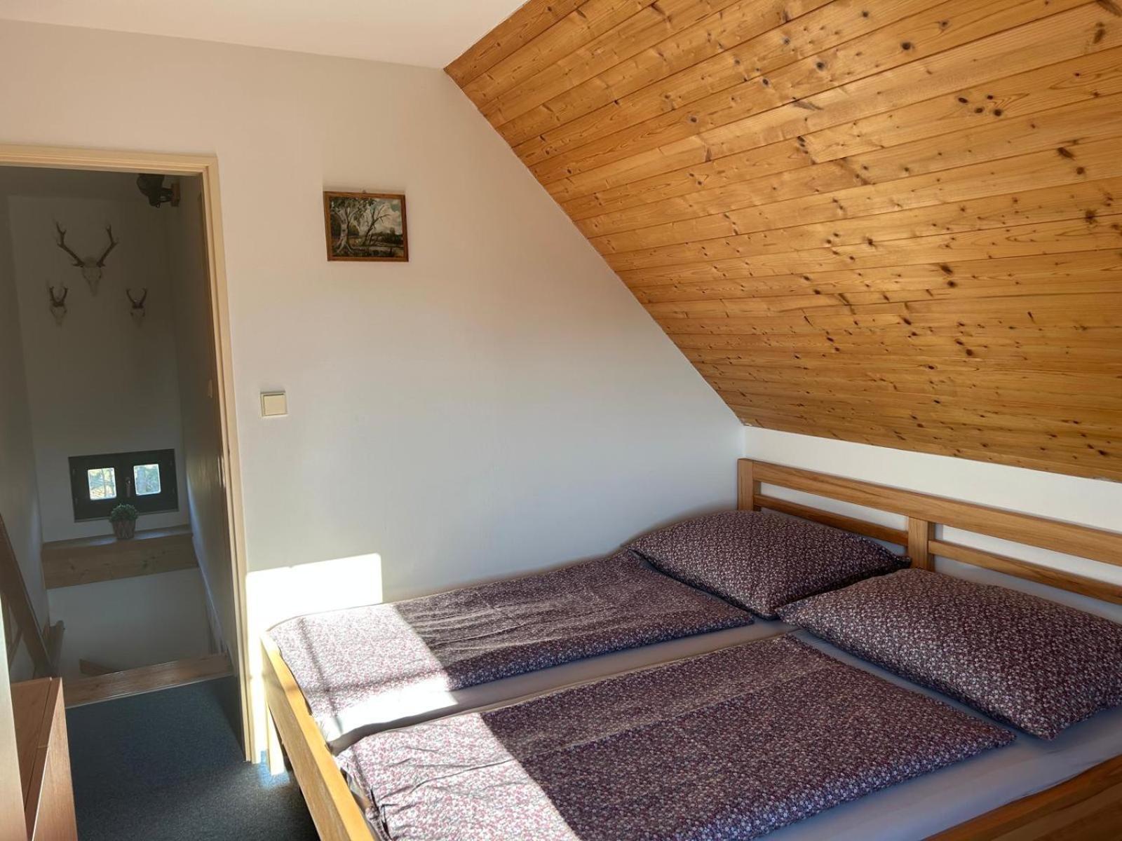 Vila 66 - Cista V Krkonosich Černý Důl Zewnętrze zdjęcie